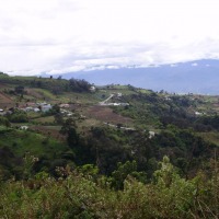 Foto de Cartago