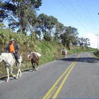 Foto de Cartago