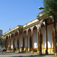 Foto de San Bernardo