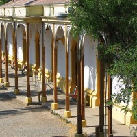 Foto de San Bernardo