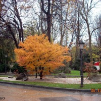 Foto de Oviedo