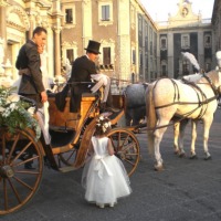 Foto de Catania (Sicilia)