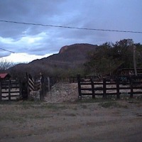 Foto de Palos Negros (Guanacaste)