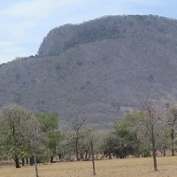 Foto de Palos Negros (Guanacaste)