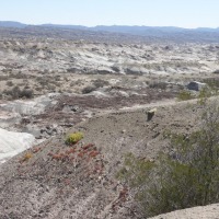 Foto de Ischigualasto (San Juan)