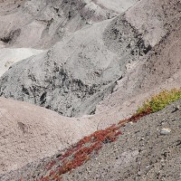 Foto de Ischigualasto (San Juan)