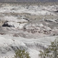 Foto de Ischigualasto (San Juan)