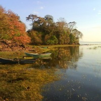 Foto de Lago de Yojoa