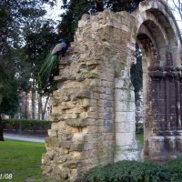 Foto de Oviedo