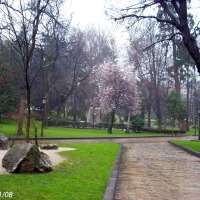 Foto de Oviedo