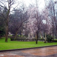 Foto de Oviedo