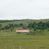 Foto de Puerto Natales