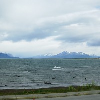 Foto de Puerto Natales