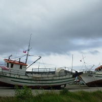 Foto de Puerto Natales