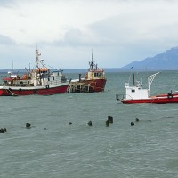 Foto de Puerto Natales