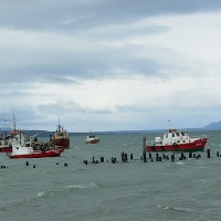 Foto de Puerto Natales