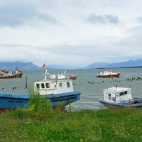 Foto de Puerto Natales
