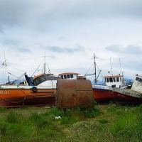 Foto de Puerto Natales
