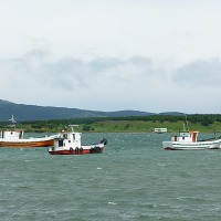 Foto de Puerto Natales