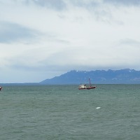 Foto de Puerto Natales