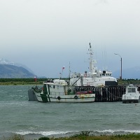 Foto de Puerto Natales