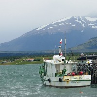 Foto de Puerto Natales
