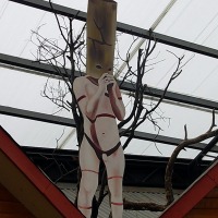 Foto de Puerto Natales