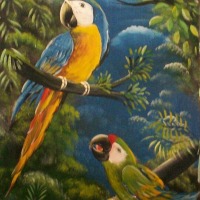 Foto de Puriscal, San José