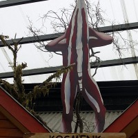 Foto de Puerto Natales