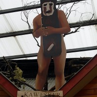 Foto de Puerto Natales