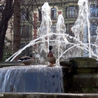 Foto de Oviedo