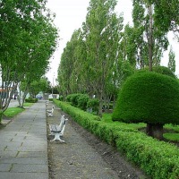 Foto de Puerto Natales