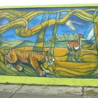 Foto de Puerto Natales