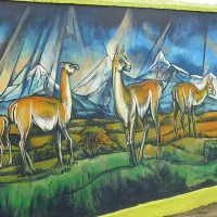 Foto de Puerto Natales