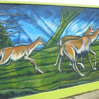 Foto de Puerto Natales