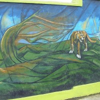 Foto de Puerto Natales