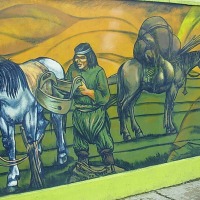 Foto de Puerto Natales
