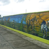 Foto de Puerto Natales
