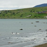 Foto de Puerto Natales