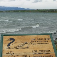Foto de Puerto Natales