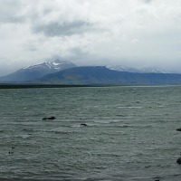 Foto de Puerto Natales
