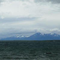 Foto de Puerto Natales