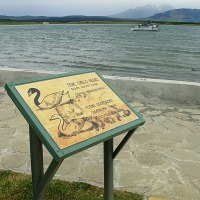 Foto de Puerto Natales