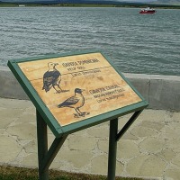 Foto de Puerto Natales