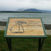 Foto de Puerto Natales