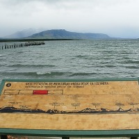Foto de Puerto Natales
