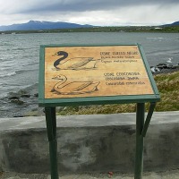 Foto de Puerto Natales