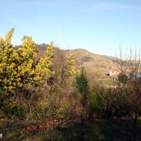 Foto de Figarines