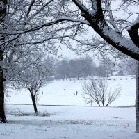 Foto de Tulsa Oklahoma