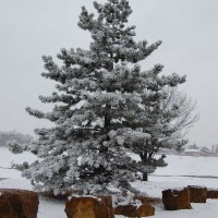 Foto de Tulsa Oklahoma